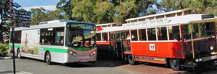 Transperth Mercedes O405NH Volgren 1319 & Perth tram